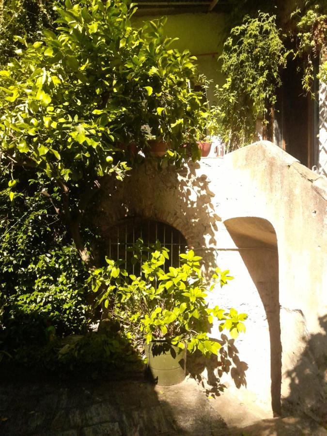 Nonna Anita Bed & Breakfast Castelveccana Exterior foto