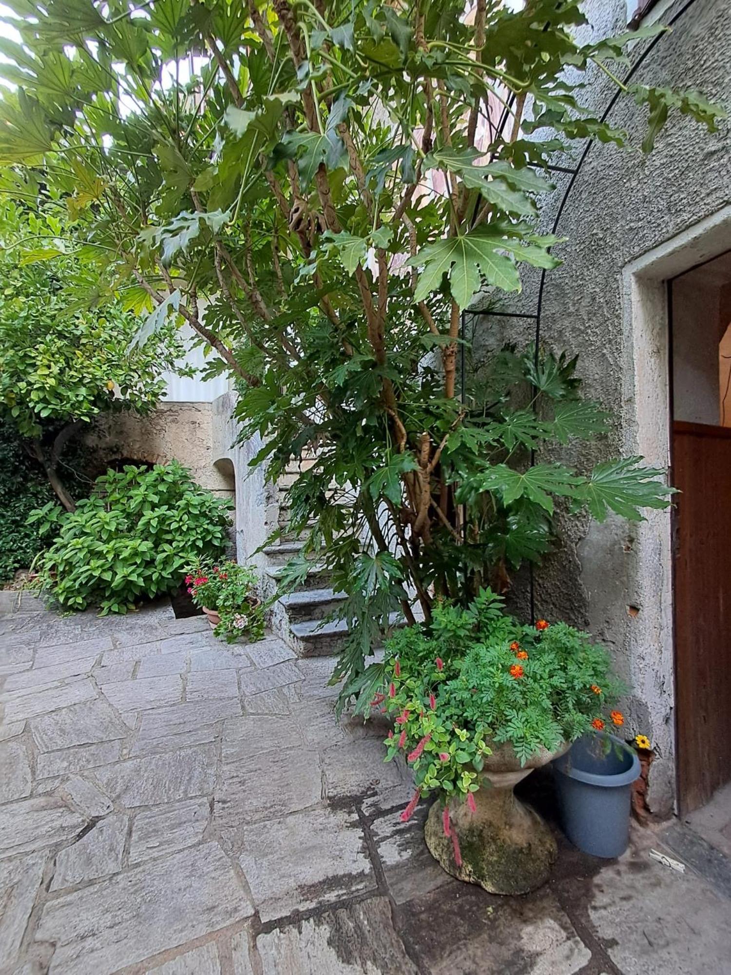 Nonna Anita Bed & Breakfast Castelveccana Exterior foto
